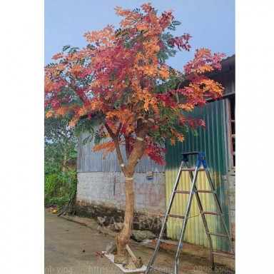 Cây giả 5m Hàng thiết kế riêng cho công ty truyền thông MD